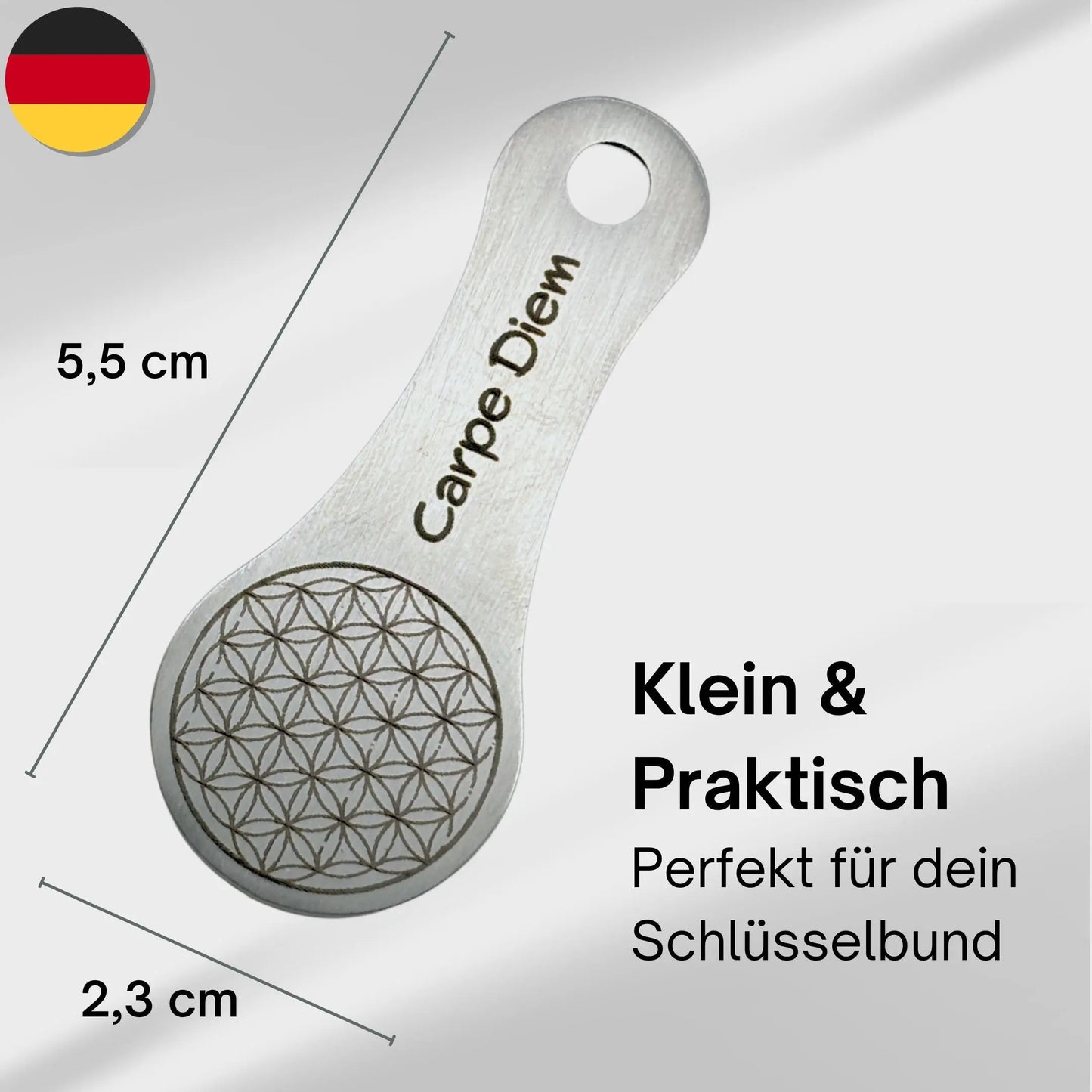 Kompakter Edelstahl Einkaufswagenchip mit Gravur "Carpe Diem" – Maße 5,5 x 2,3 cm, ideal für Schlüsselbund